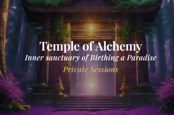 Alchemy Private Session (10 Sessions)